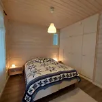 Alpesi faház Sunski *